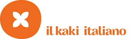 Divino kaki