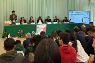 WhatsApp Image 2025-05-30 at 11.04.48